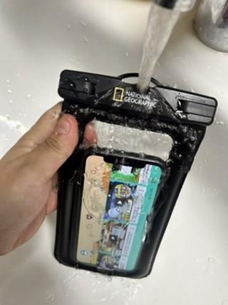 202501062025008dd2e903230ff1b