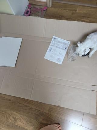 202501081602248dd2ffdd7ab8c24