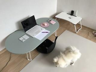 202501082005258dd301fca5e695f