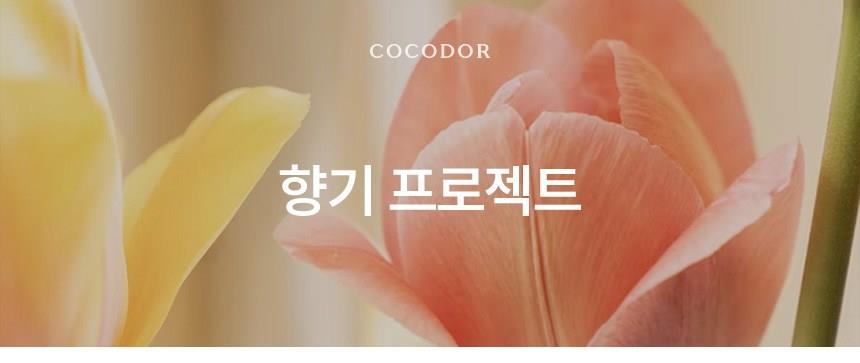 202501082307348dd30393c9f2d6c