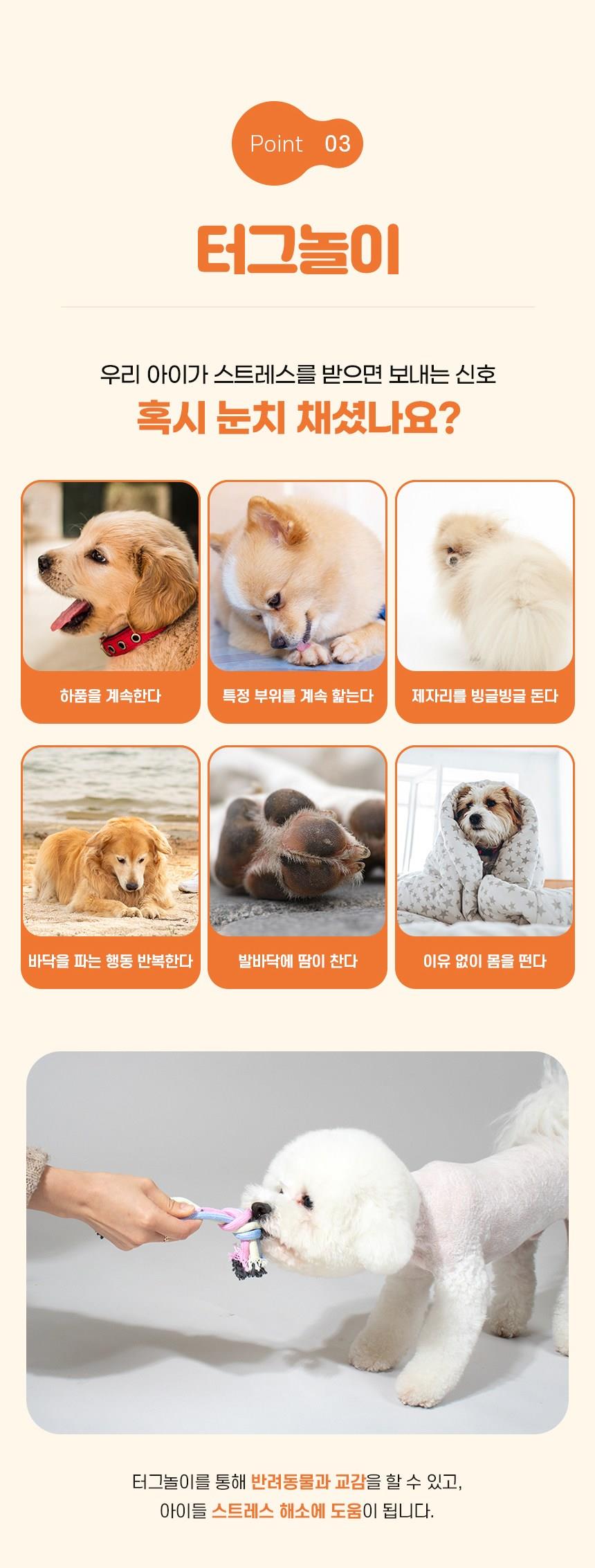 202501091022038dd309776d6fa3d