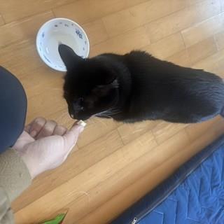 202501091122408dd309fee4a7ef1