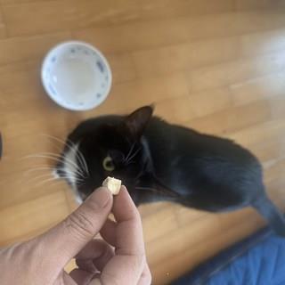 202501091122408dd309fee92c3f3