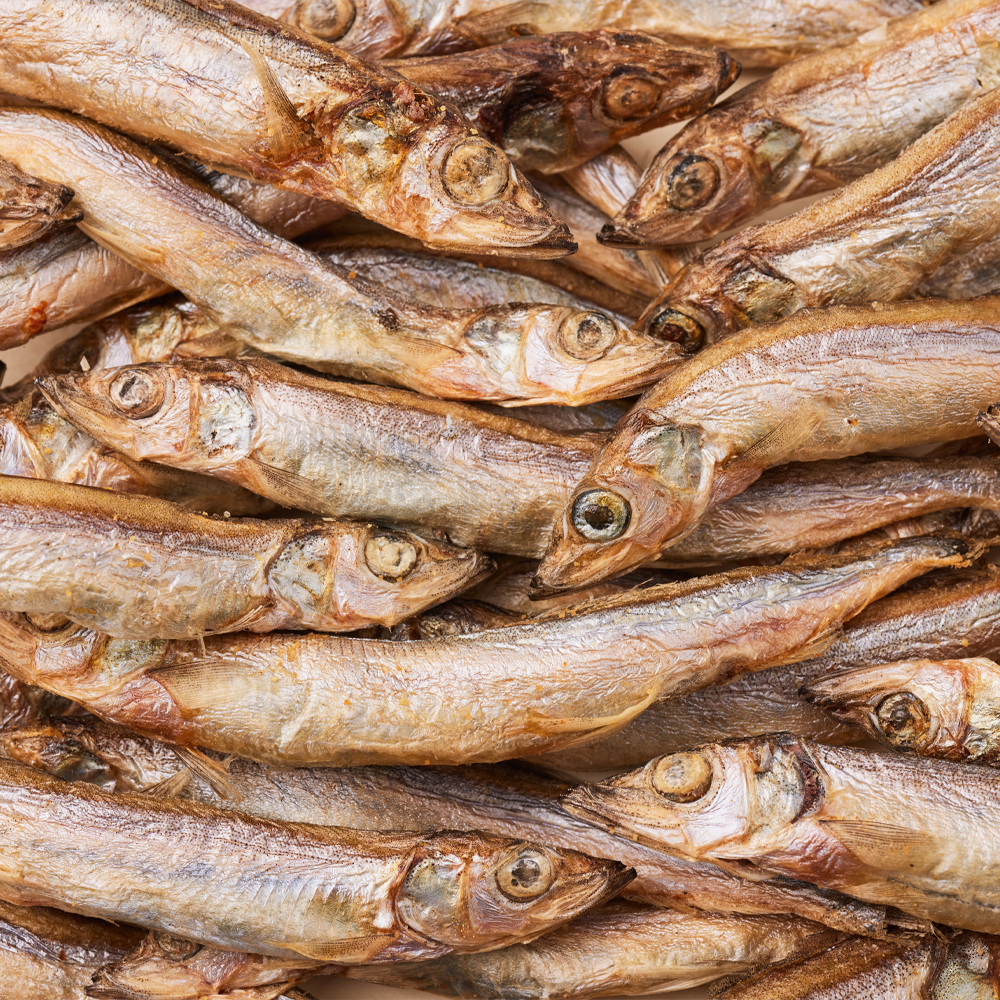 202501091122428dd309fef642b8e