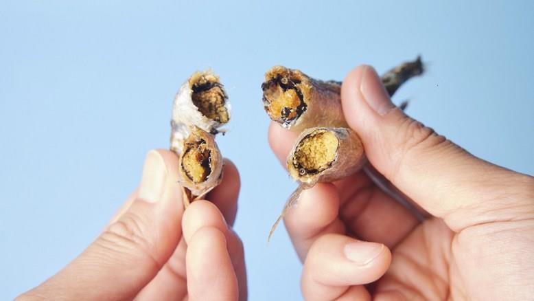 202501091122488dd309ff3181e19