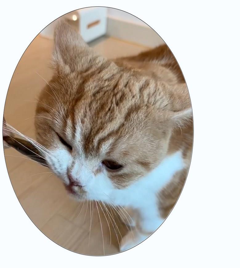 202501091122498dd309ff411f4ad