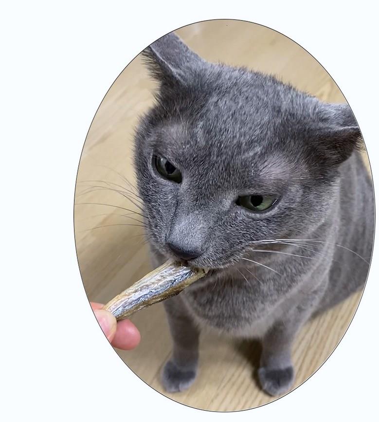 202501091122508dd309ff43df15b