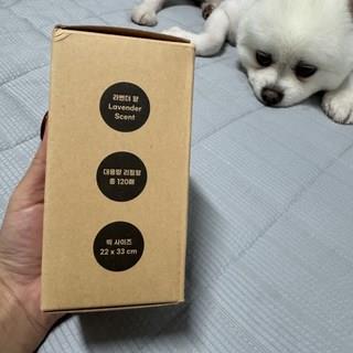 202501091223468dd30a877a48427