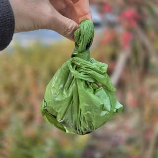 202501091223468dd30a877d107cb