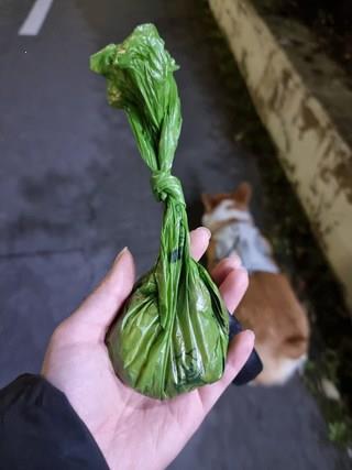 202501091223478dd30a877fce5db