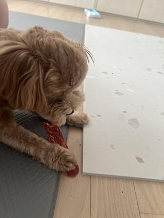 202501091425008dd30b9671c587b