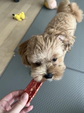 202501091425008dd30b9673c42da