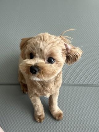 202501091425008dd30b96757bec6