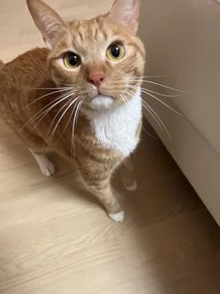 202501091525388dd30c1df54f1ee