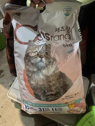 202501091626268dd30ca5e0f9b95