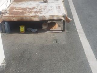 202501091626268dd30ca5e2dfb42