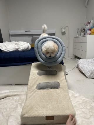 202501091727118dd30d2da69d2c2