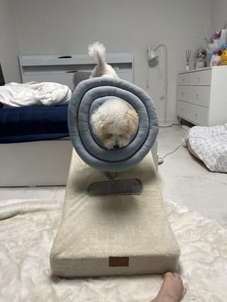 202501091727118dd30d2da80a4d6