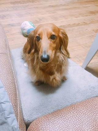 202501091727118dd30d2dab08962