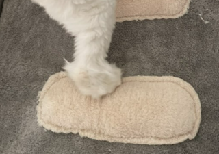 202501091727128dd30d2dae9e00d