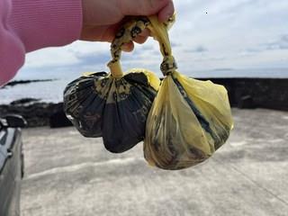 202501091827448dd30db4ffcb618