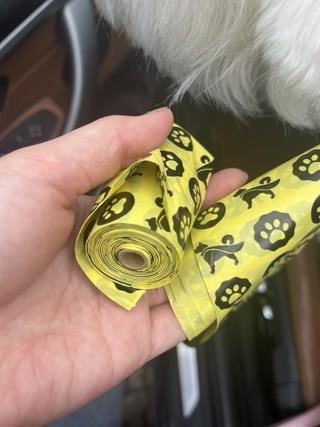 202501091827448dd30db502d3b35