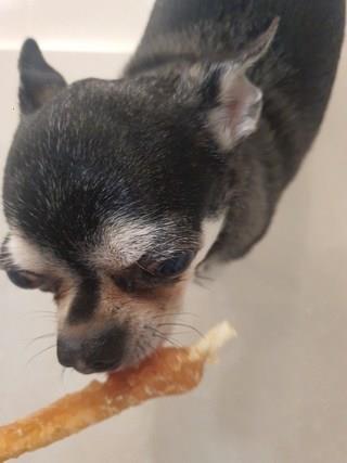 202501091928298dd30e3cca9106d