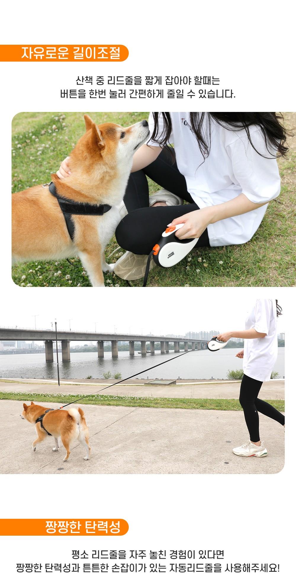 202501092230408dd30fd40086fcb