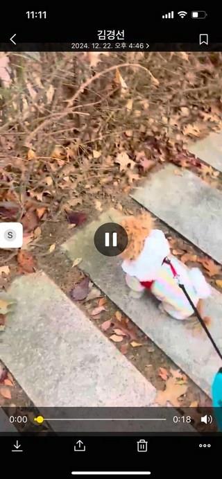 202501092230478dd30fd43bb3d7e