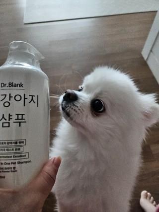 202501131550498dd33ea0def82e2