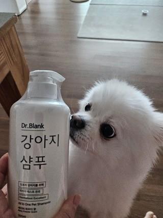 202501131550508dd33ea0e48e07b