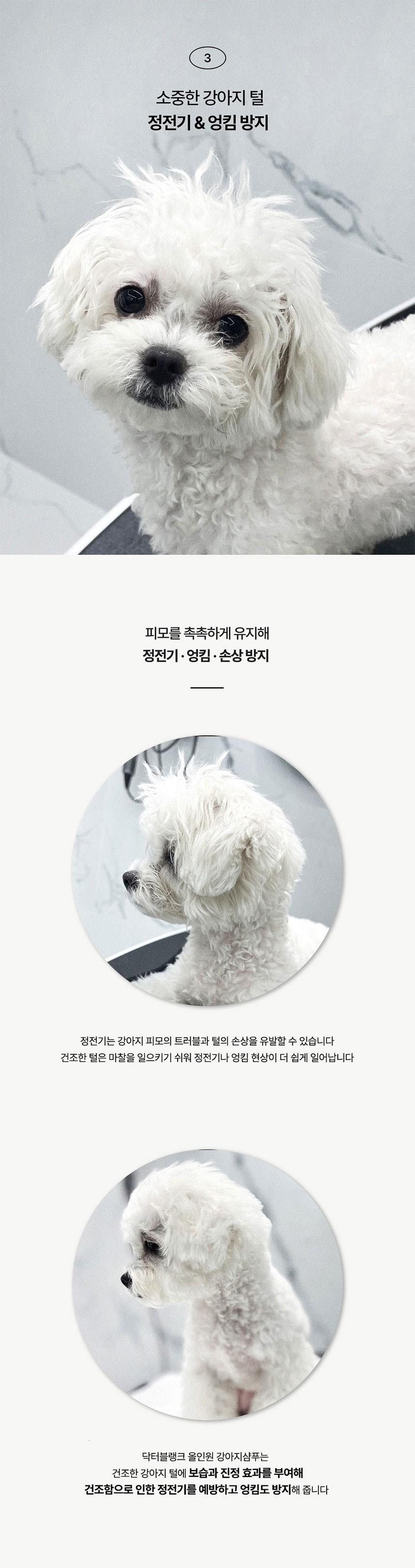 202501131550538dd33ea1033b1eb