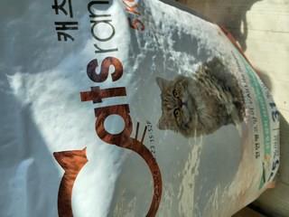 202501131752208dd33fb07b6b839