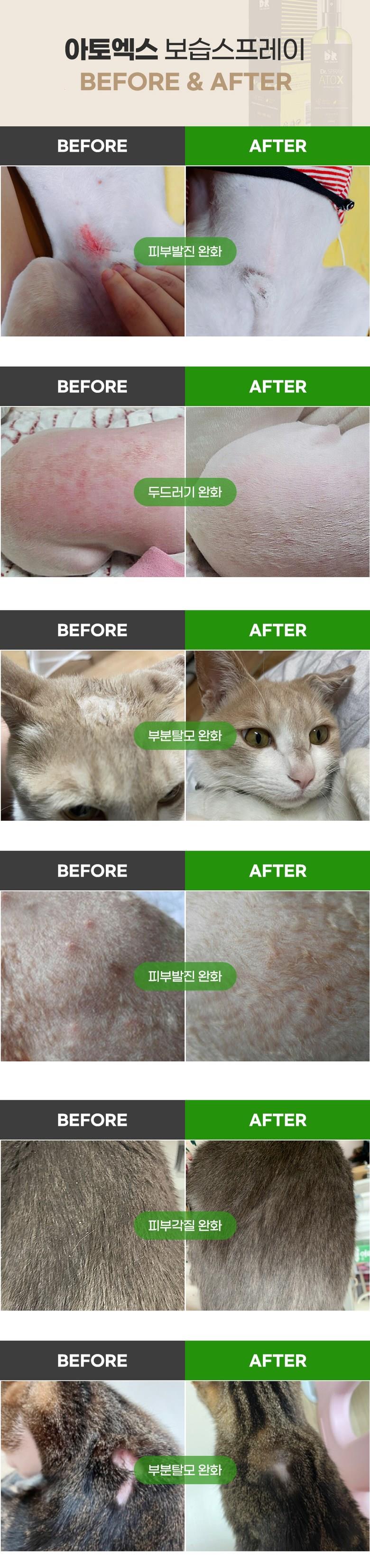 202501131953388dd340bf9c74e69