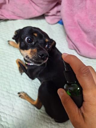 202501131953478dd340bfefff033