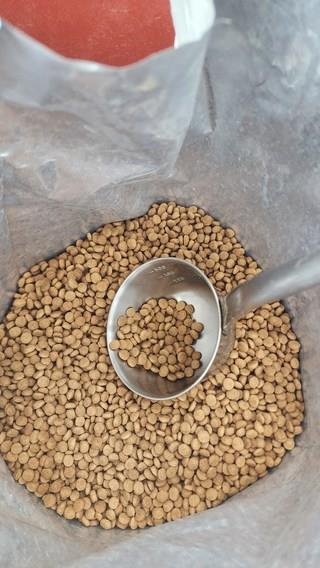 202501132055298dd34149d628731