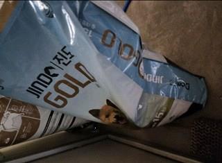 202501132055598dd3414af91315f