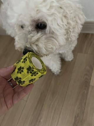 202501170954378dd36dcf5b4bc33