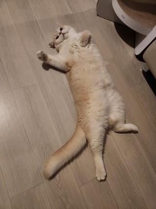 202501171055308dd36e57714274b