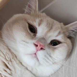 202501171055308dd36e57739da1f