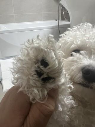 202501171055318dd36e577c15b74