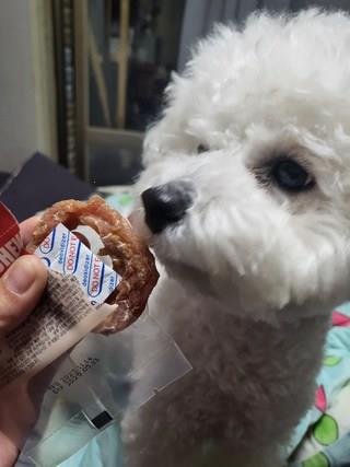 202501171256458dd36f66792e3d2