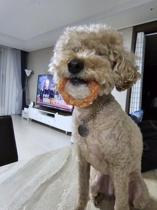 202501171256468dd36f667ef4f8e