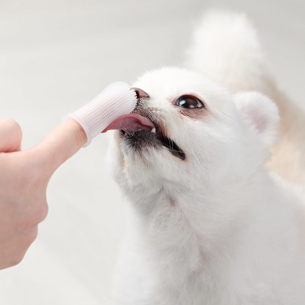 202501171458058dd37075a72d326