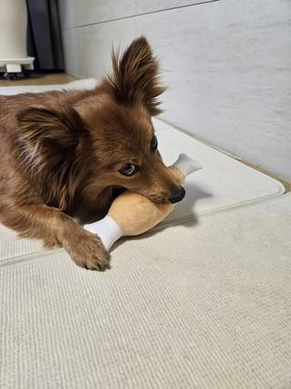 202501171558418dd370fd165e3dd