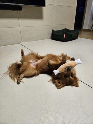 202501171558418dd370fd19ab260