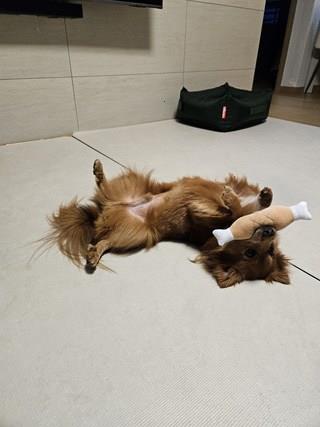 202501171558418dd370fd1d7b8ab