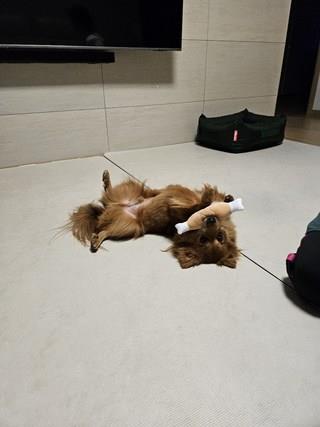 202501171558428dd370fd2056032