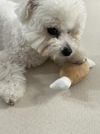 202501171558428dd370fd26b2f4e