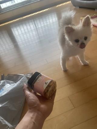 202501171800028dd3720c54f9b67